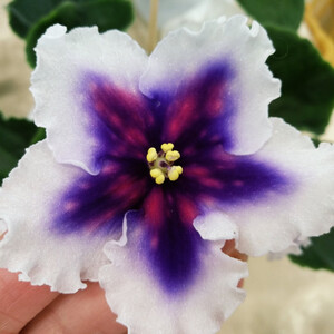 Dn-Магiя Неба