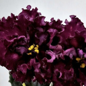 Nik-Сердечная Тайна