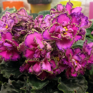 АВ-Антидепрессант