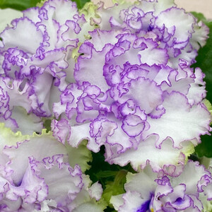 АВ-Кринолин (уценка)