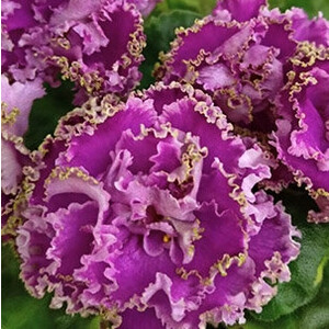 АВ-Полный Восторг (уценка)